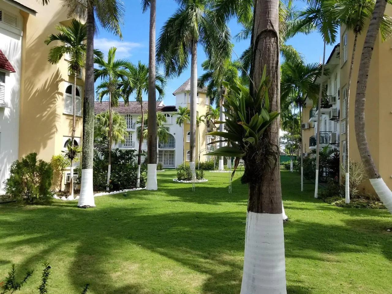 Oasis At Sandcastles Adults Only Luxury King Suite 3*, Ocho Rios Jamaika